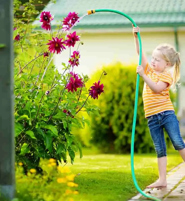 Find Durable and High-Quality Garden Hoses at Union Booster