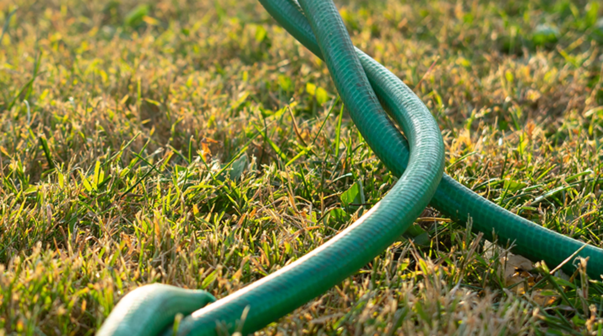 How To Choose The Right Garden Hose For Your Needs