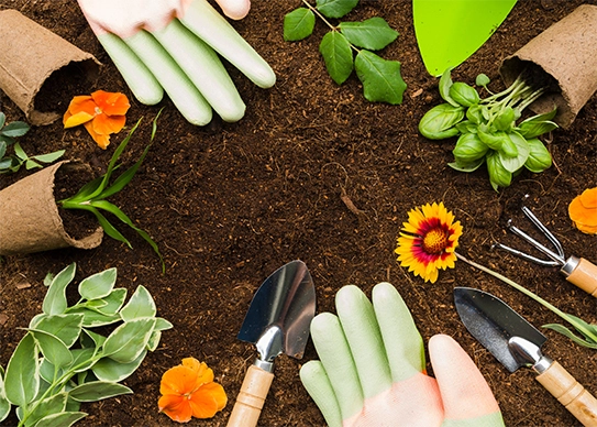 Lesser-Known Garden Tools You Need to Start Using
