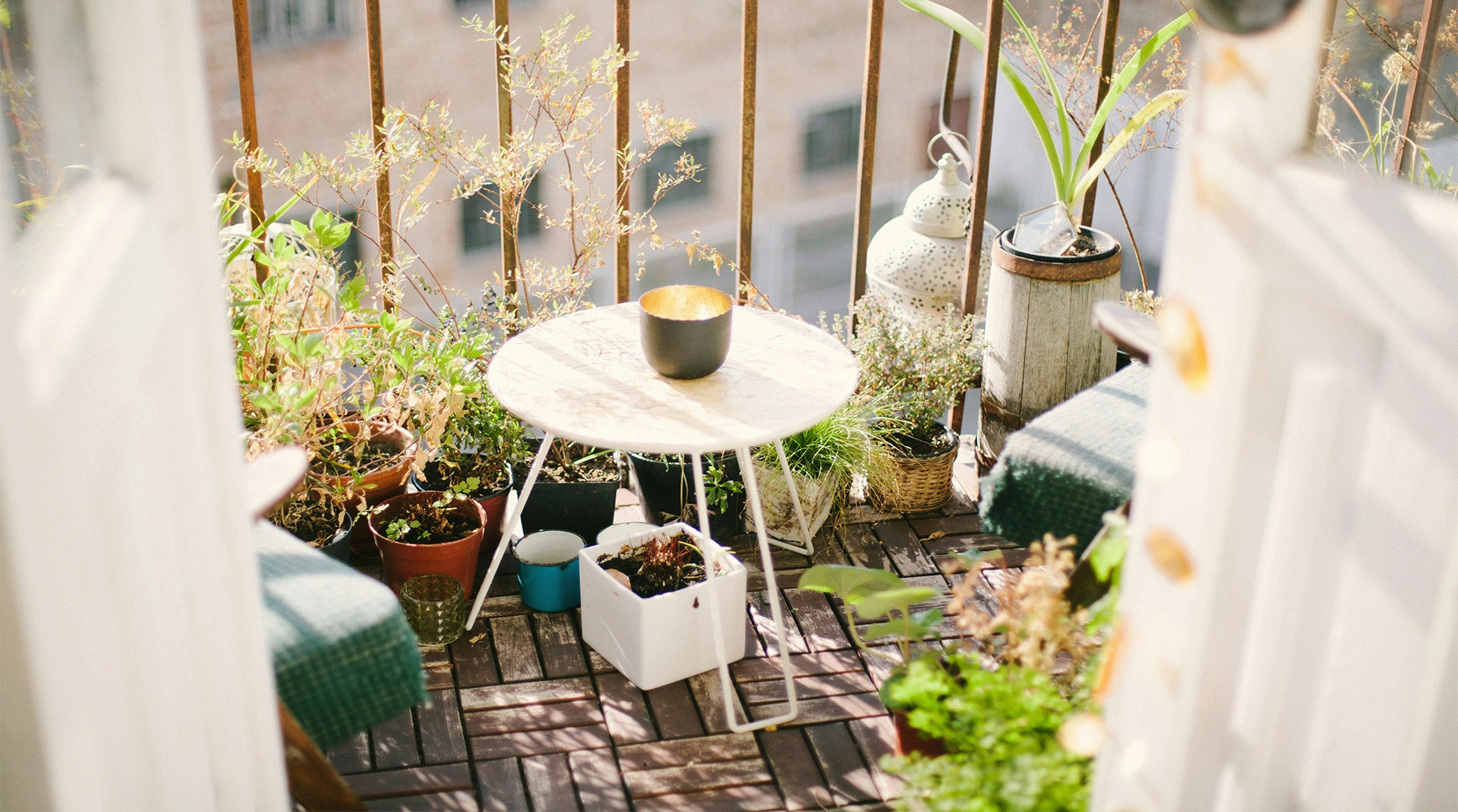 Common Types of City Balcony Garden Products