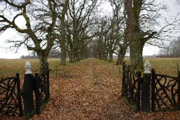25-Cool-Garden-Wooden-Gates-2.jpg
