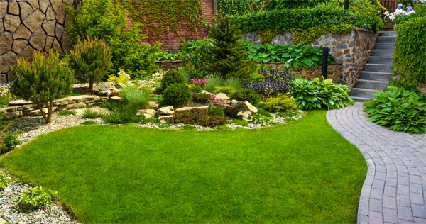 Fortune-from-Good-Garden-Fengshui-2.jpg