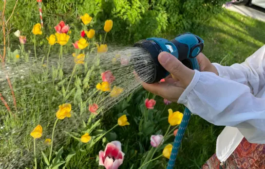 How Is This 100FT Magic Garden Hose?
