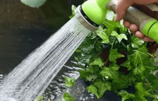 Application of 50ft Retractable Garden Hose Reel with Hose