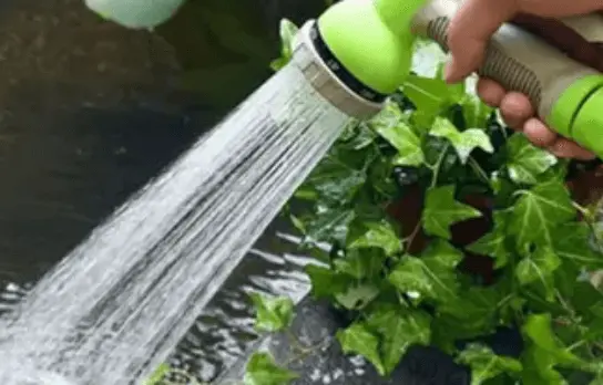 How Do Hose Reels Work?