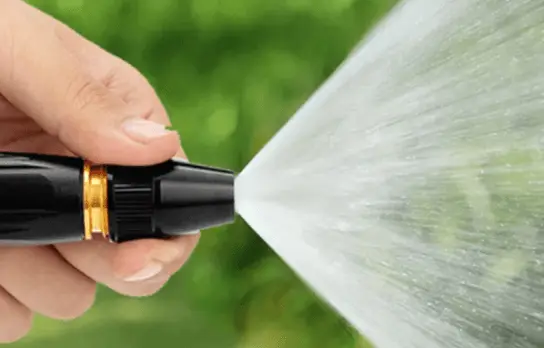 Why Use a Hose to Water?