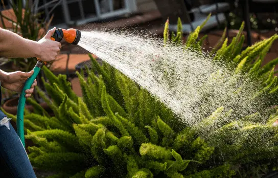 Application of Hose Pipe Connections Pressure Sprayer for Water Hose