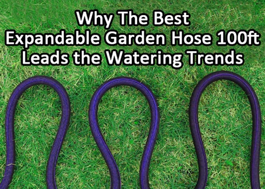 Why the Best Expandable Garden Hose 100ft Leads the Watering Trends