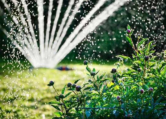 How to Choose A Hose for Garden Watering