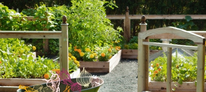 how-to-choose-a-hose-for-garden-watering-3.jpeg