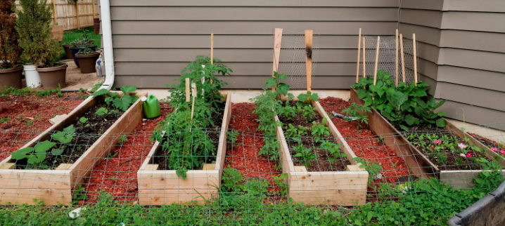 how-to-choose-a-hose-for-garden-watering-4.png