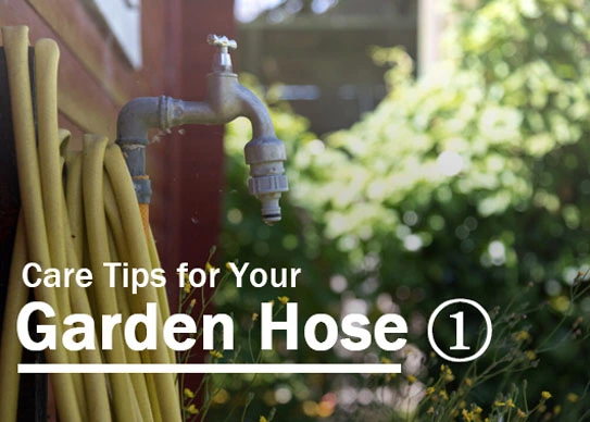 Care Tips for Your Garden Hose 1