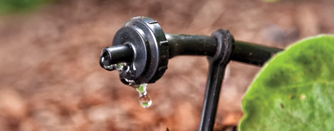 How To Choose The Right Drip Irrigation Emitters