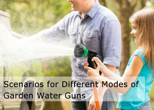 Scenarios for Different Modes of Garden Water Guns