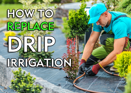 how-to-replace-drip-irrigation-sprinklers-a-complete-step-by-step-guide.png