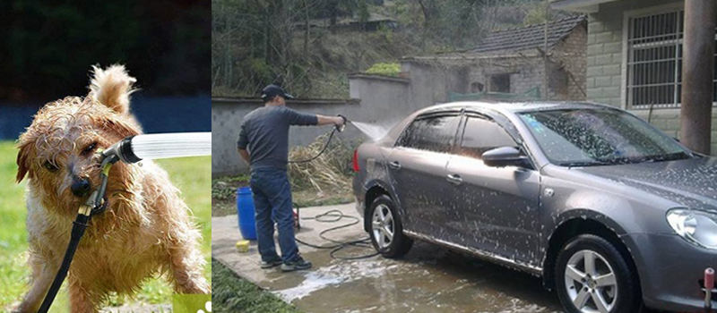 wash-the-pet-vehicles.png