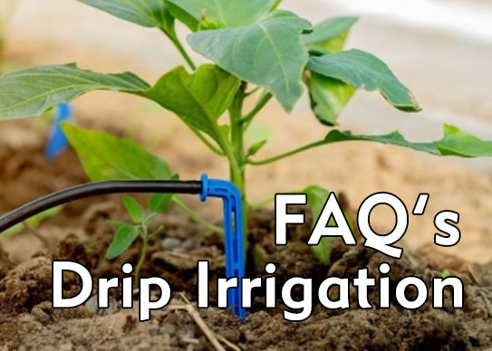 Drip Irrigation FAQ's