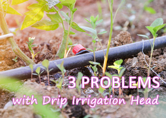 Drip Irrigation Sprinkler Head Common Problems with Solutions
