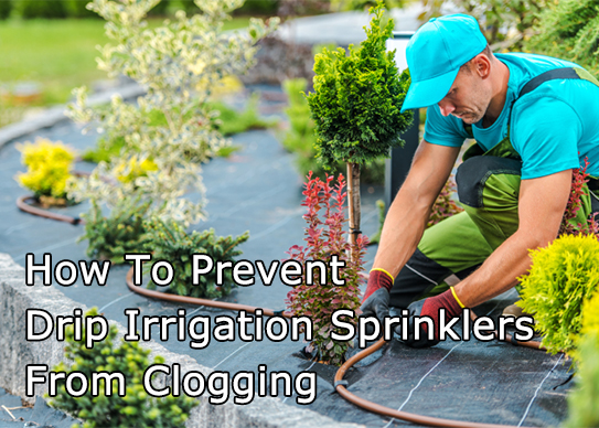 How To Prevent Drip Irrigation Sprinklers From Clogging